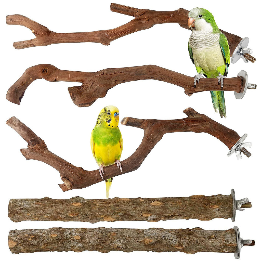 5PCS Bird Perch Stand Natural Wooden Parrot Stand Branch,3 Grape Wood Perch,2 Stand,Paw Grinding Fork Parakeet Chewing Stick Exercise Training Branches for Cockatiels,Small Medium Birds