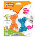 Nylabone Flexi Chew Tiny Gumabone Dog Chew Toys, XX-Small, 2 Count