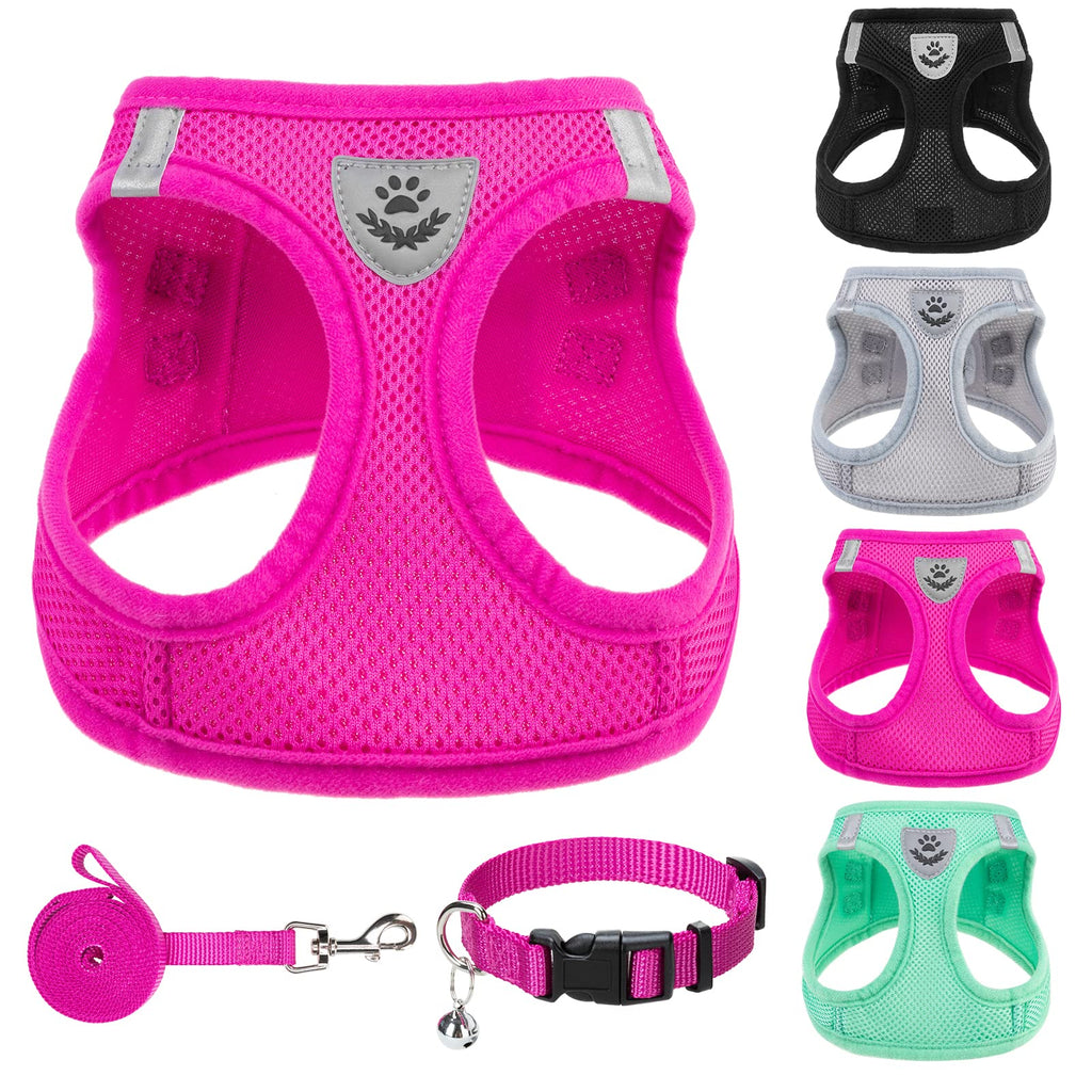 PUPTECK Dog Harness, Collar and Leash Set No Pull for Small Medium Sized
