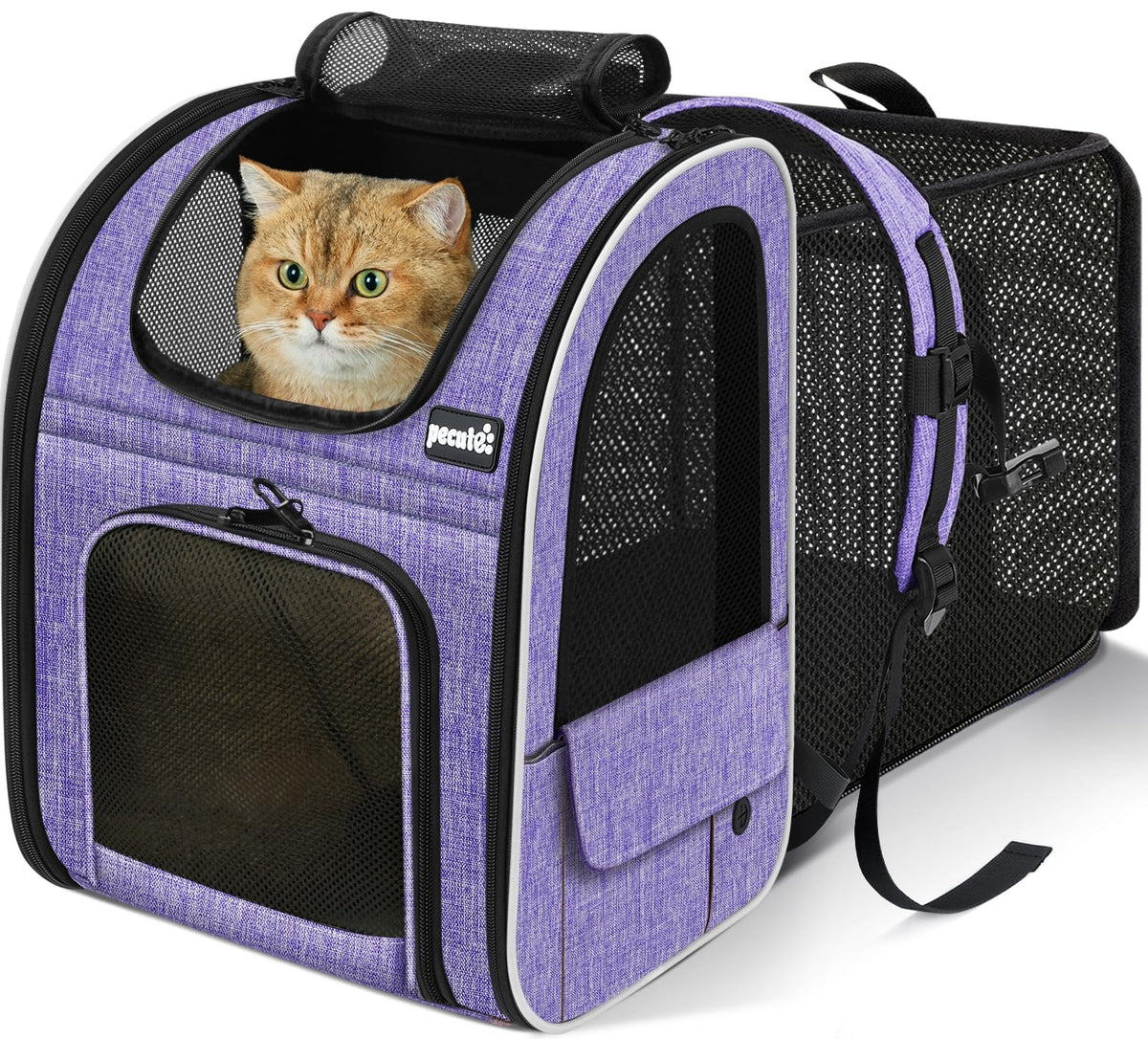 pecute Cat Backpack Expandable, Cat Carrier Backpack with Acrylic Window