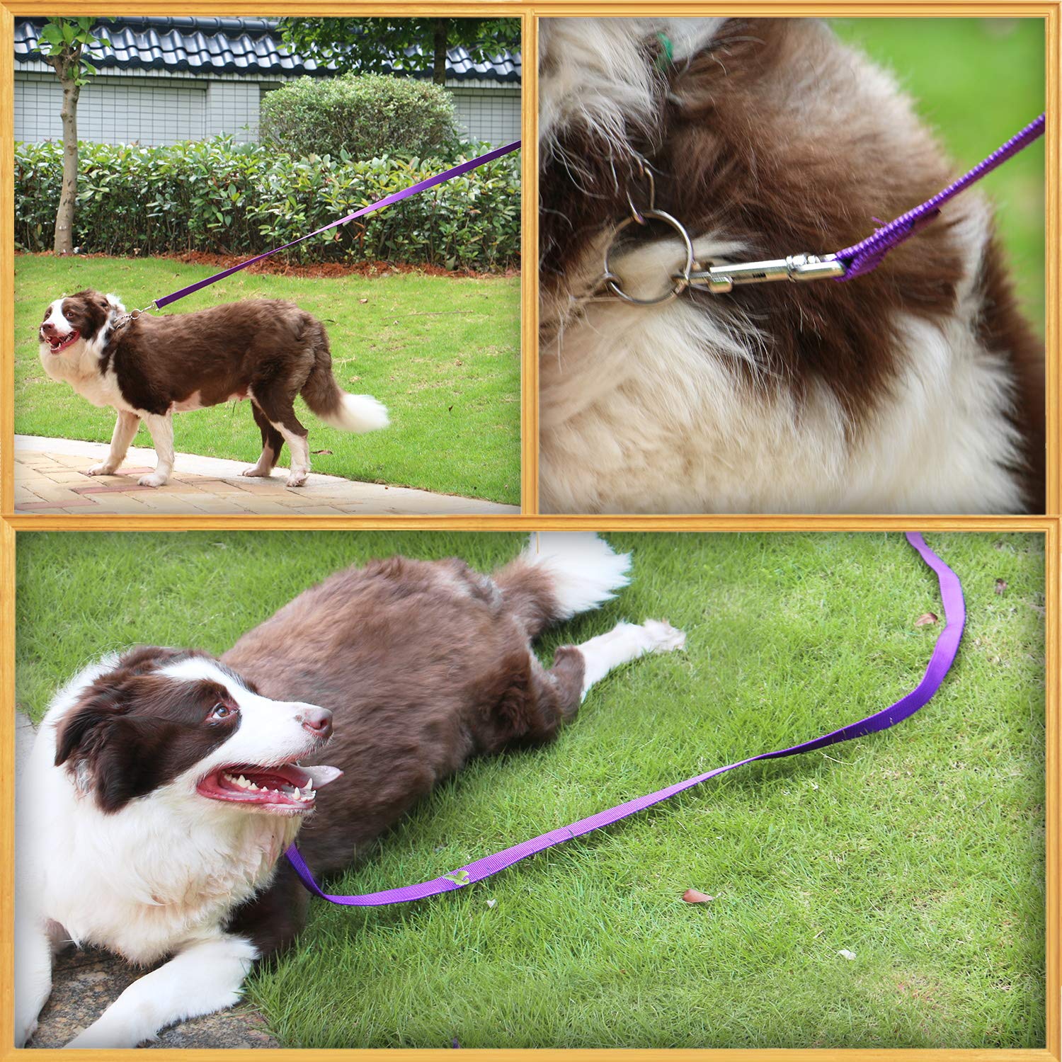 AmaGood Dog/Puppy Obedience Recall Training Long Dog Leash- 20 feet 30 feet 50 feet 15 feet Long Leash for Dogs Training,Recall,Play,Safety,Camping (Purple, 15 Foot (Pack of 1))