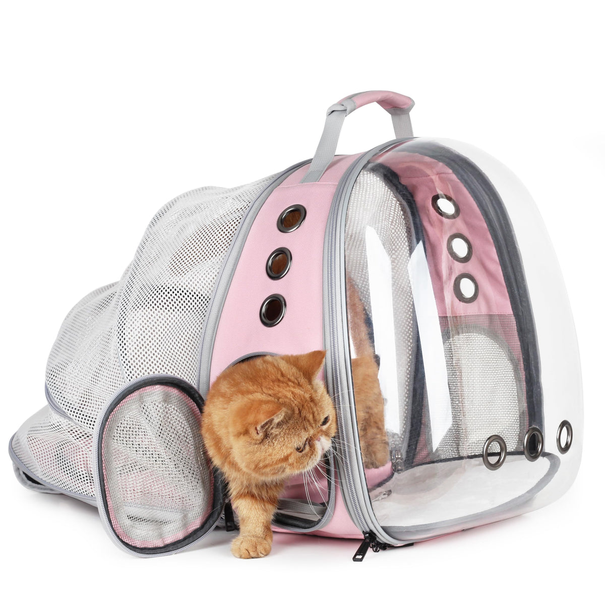 Lollimeow Expandable Bubble Cat Carrier Backpack, Supports up to 16 lbs