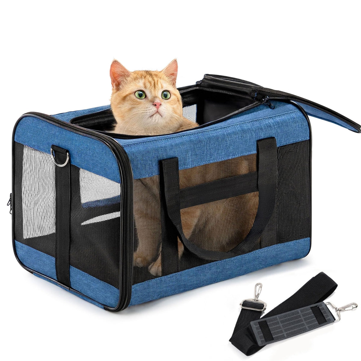 Conlun Dog Carrier Soft Sided, Large Cat Carrier,Black L