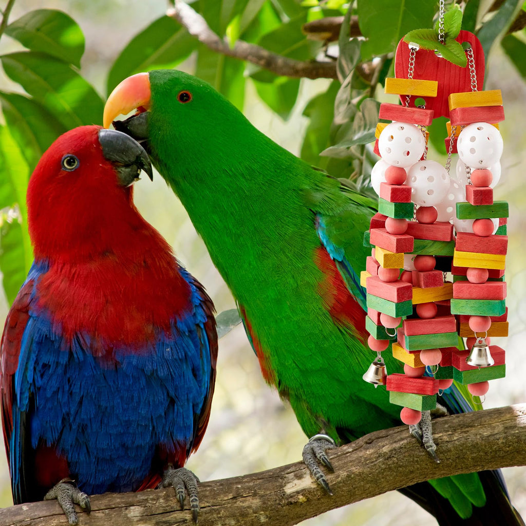 Seenelling 4 Pcs Extra Large Bird Toys for Parrots, Block and Ball