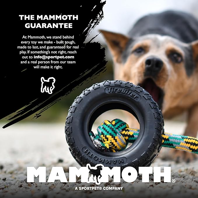 Chew King by Mammoth Premium Treat Dispensing Dog Toy, Durable Natural Rubber Chew Toy, Safety Air Vent, Interactive Enrichment Toy for Aggressive Chewers, Medium Pack of 2- Teal