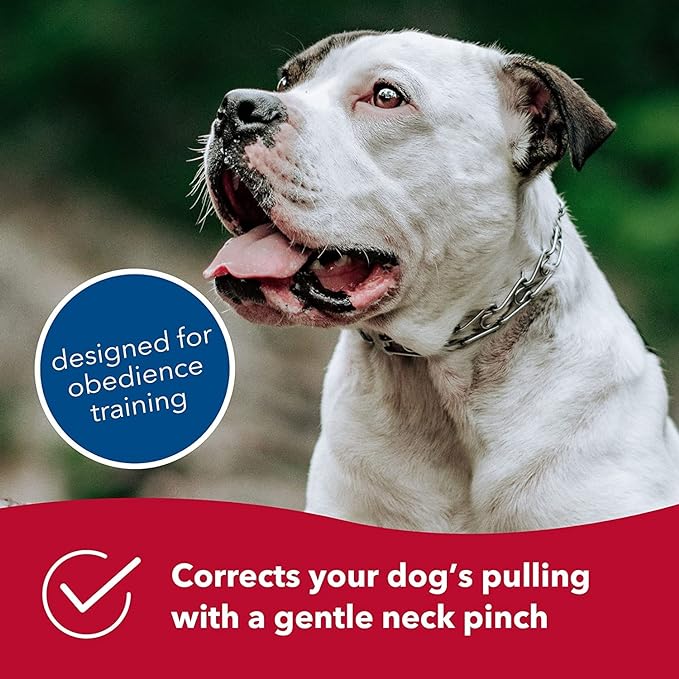 Herm Sprenger Ultra-Plus Prong Dog Training Collar, 2.25 mm x 13" Neck Size, 2.25 mm, Steel Chrome Plated Dog Prong Collar, Pinch Collar for Dogs, Dog Correction Collar