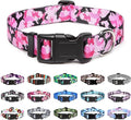 Mercano Adjustable Dog Collar - Special Design Patterns, Soft Nylon Comfortable Sturdy Pet Collar for Small Medium Large Dogs (M — Large
