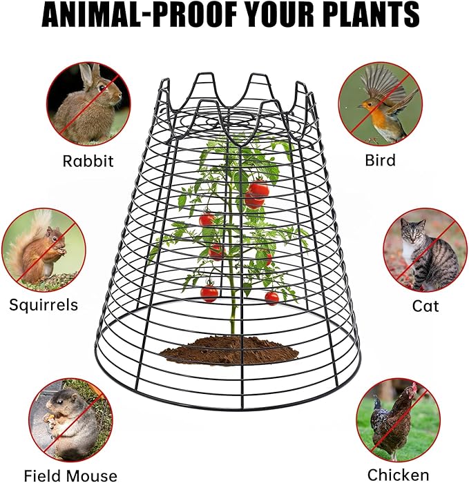 Qaobo 4 Pcs 11.6"×11.6" Plant Protectors from Animals, Sturdy Metal Plant Cages for Outdoor Plants, Reusable Wire Garden Cloches, Plant Protector to Keep Squirrels, Rabbits, Birds, Black