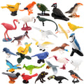 ZENFUN 29 Pieces Realistic Bird Animals Figurines, Mini Bird Model, Birds Cake Cupcake Topper, Parrot Figurine, Miniature Birds Animal Figure for Birthday Party Supply
