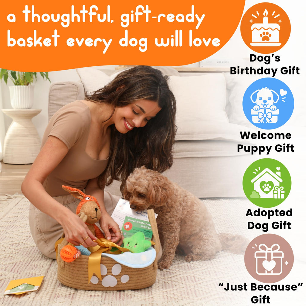 Huxley Barker New Puppy Gift Basket for Puppies, Adopted Dogs & Small Family Dogs - Chew Toys, Squeaky Toys, Toy Box, Treat Mold, Pet Blanket - Dog Gift Basket Essentials
