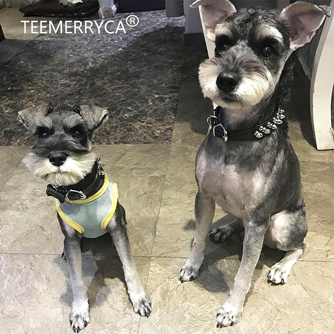 TEEMERRYCA Adjustable Microfiber Leather Spiked Studded Dog Collars with a Squeak Ball Gift for Small Medium Large Pets Like Cats/Pit Bull/Bulldog/Pugs/Husky, Black, XL 17.7-20.5 inches