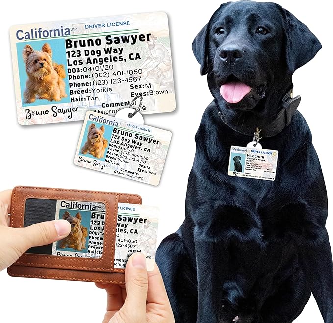 PawFurEver Personalized Dog Driver License ID Tag for Dogs & Cats - Custom Pet License Dog ID Tags Personalized Heavy Duty with Name, Photo & Phone Number, 50 States + DC (Alaska, Wallet Card)