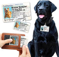 PawFurEver Personalized Dog Driver License ID Tag for Dogs & Cats - Custom Pet License Dog ID Tags Personalized Heavy Duty with Name, Photo & Phone Number, 50 States + DC (DC, Wallet Card)