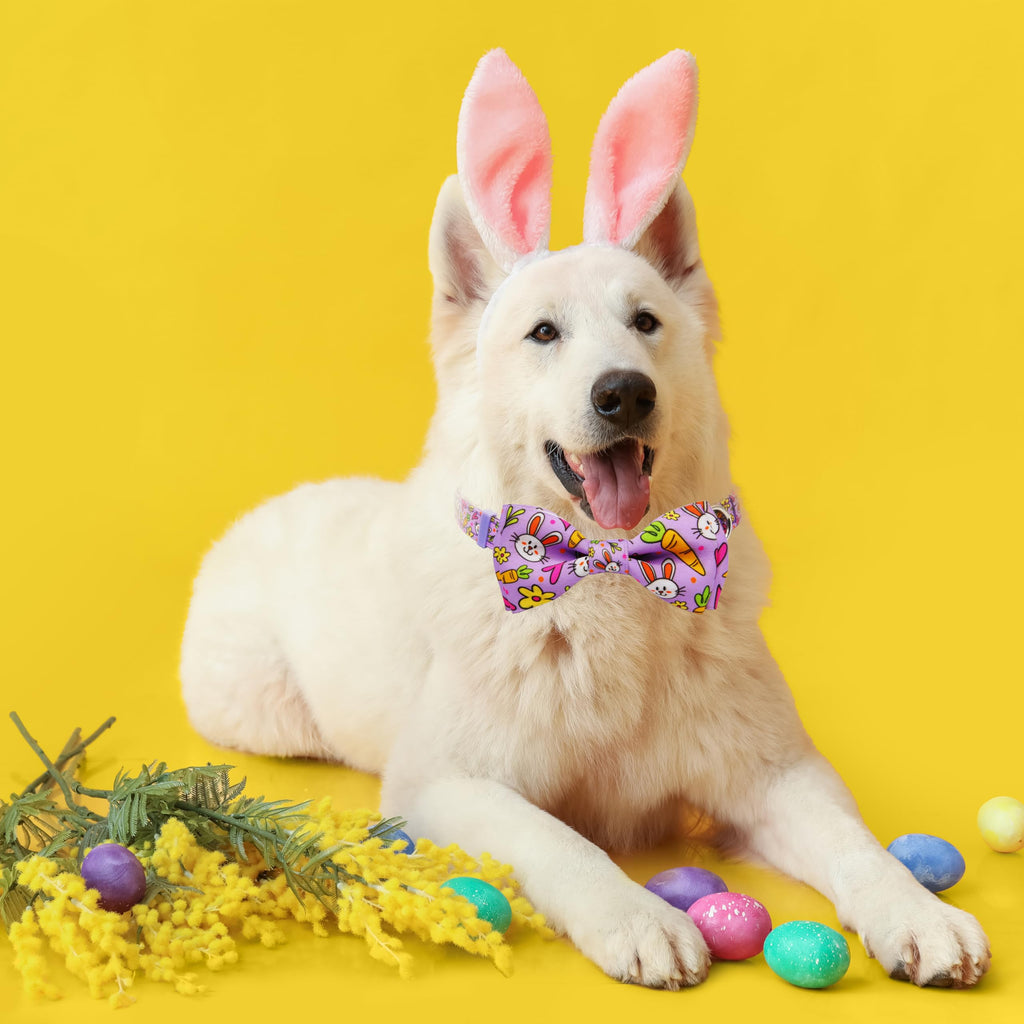 Easter Dog Collar with Bow Tie Set, Adjustable Purple Bunny and Carrot Pattern Pet Collar, Cute Spring Flower Holiday Neckwear for Small, Medium, and Large Dogs