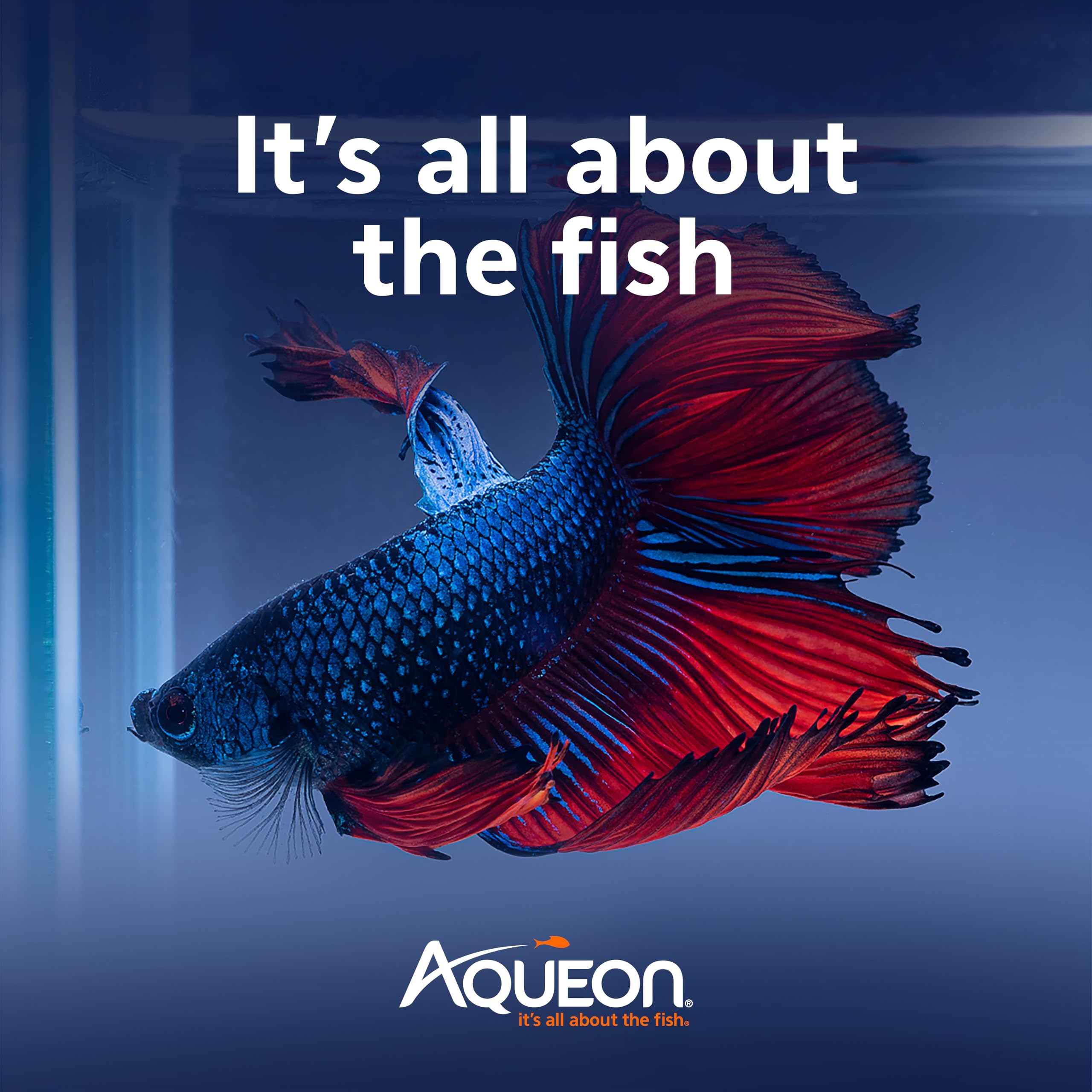 Aqueon PURE Betta Beads, Water Care for Unfiltered Aquariums, Maintains Clear Water and Helps Breakdown Organic Sludge, Black & White