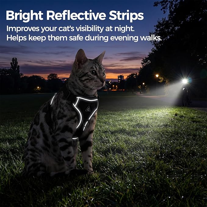 Cat Harness and Leash Set Escape Proof Tactical Medium Kitten Harness Emotional Support Cat Vest, Turquoise, M