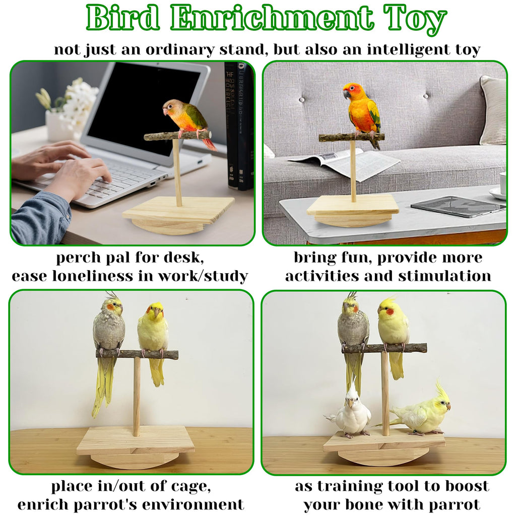 Jevnd Natural Wood Bird Perch Stand Training, Quaker Parrot Toys, Puzzle