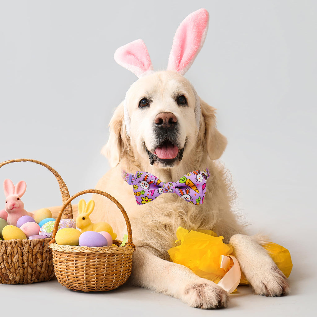 Easter Dog Collar with Bow Tie Set, Adjustable Purple Bunny and Carrot Pattern Pet Collar, Cute Spring Flower Holiday Neckwear for Small, Medium, and Large Dogs