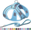 AIITLE No Pull Dog Harness and Leash Set, Step in Adjustable Dog Harness with Padded Vest for All Weather, Dog Leash with Soft Padded Handle, Easy to Put on Small and Medium Dogs Pure Blue S