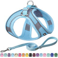 AIITLE Small Dog Harness and Leash Set, Step-in Puppy Pet Vest, Orange XXS