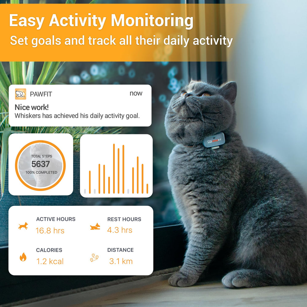 Pawfit Lite 4G GPS Cat Tracker, Live Tracking, Ultra-Light, Onyx Black