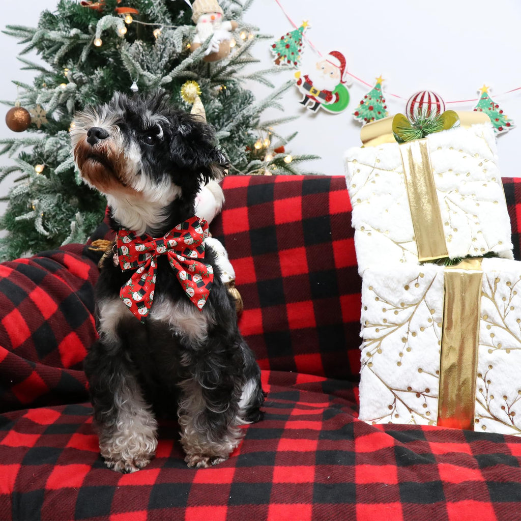 UP URARA PUP Christmas Dog Collar with Bow Tie, Christmas Collar for Puppy Girl Boy Dog or Cat, Bowtie Dogs Collars with Durable Metal Buckle, Cute Pet Collars, M