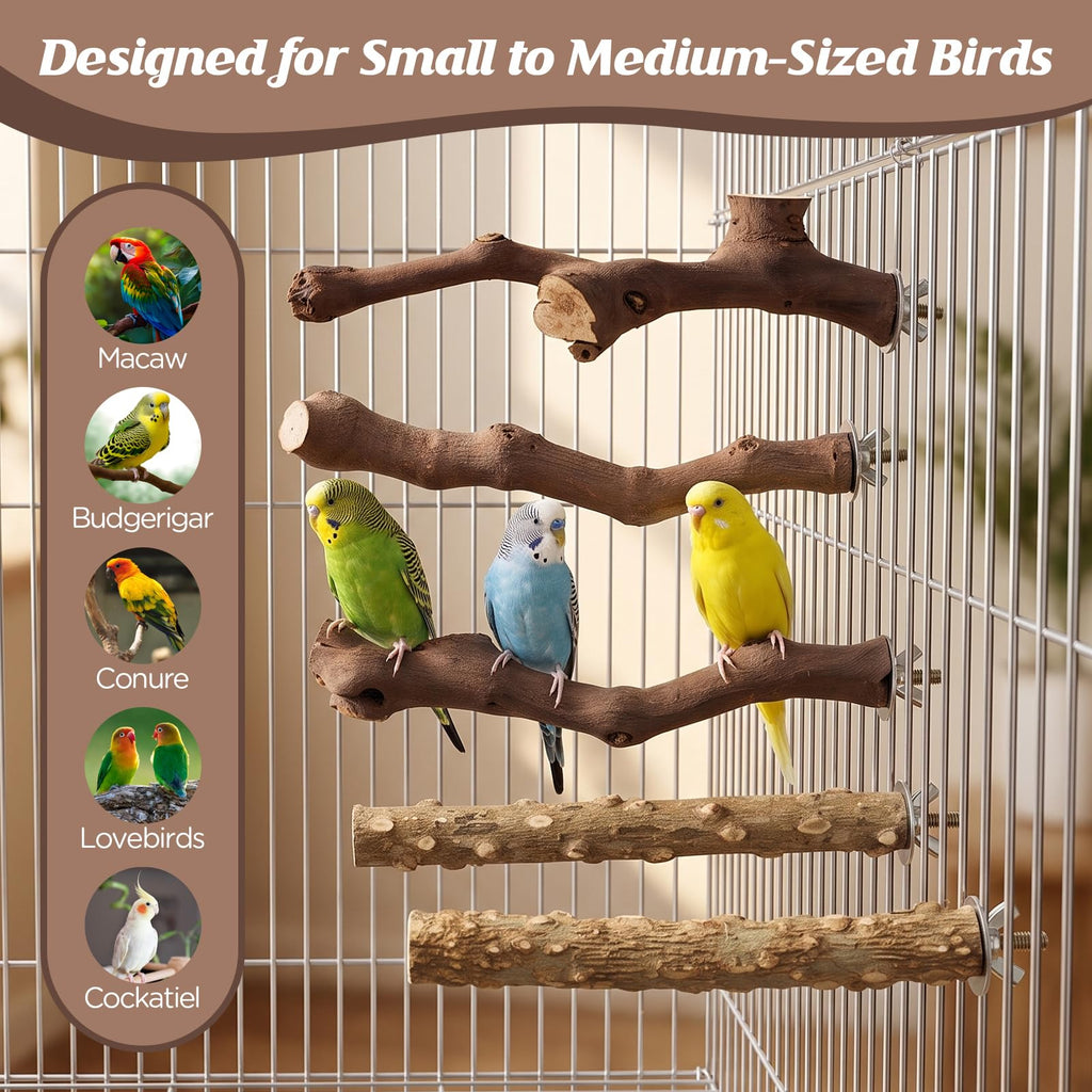 5PCS Bird Perch Stand Natural Wooden Parrot Stand Branch,3 Grape Wood Perch,2 Stand,Paw Grinding Fork Parakeet Chewing Stick Exercise Training Branches for Cockatiels,Small Medium Birds