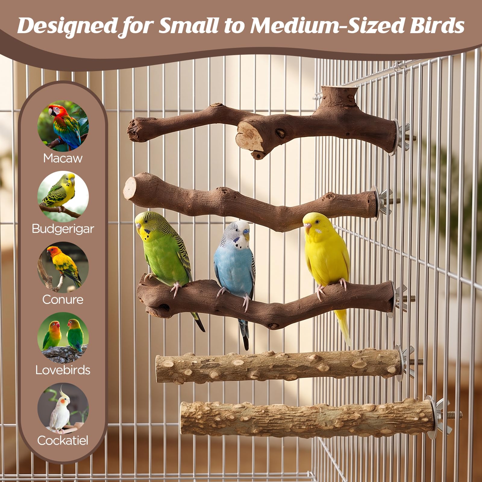 5PCS Bird Perch Stand Natural Wooden Parrot Stand Branch,3 Grape Wood Perch,2 Stand,Paw Grinding Fork Parakeet Chewing Stick Exercise Training Branches for Cockatiels,Small Medium Birds
