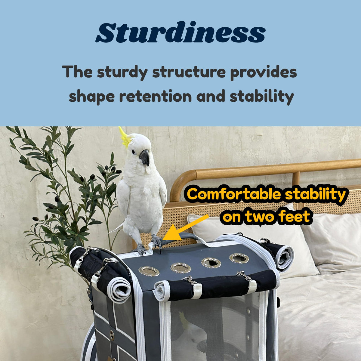 Birds Day Cockatoo Carrier Backpack-Parrot Travel Cage with Wooden Perch and Food Bowl, Stainless Steel Tray (Charcoal Gray, Cockatoo & Similar)