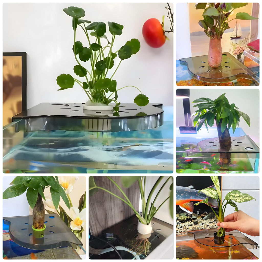 BEVINKATE Aquarium Plant Holder for Rimless Tanks, 2 Pack Corner Shelf