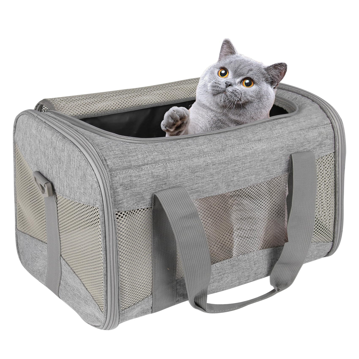 Cat Carrying Case - Pet Carrier Airline Approved, Protable and Breathable Pet Travel Carrier Removable Fleece Pad, Collapsible Cat Carrier Dog Carrier for Medium Cats Small Cats Dogs (Small, Black)