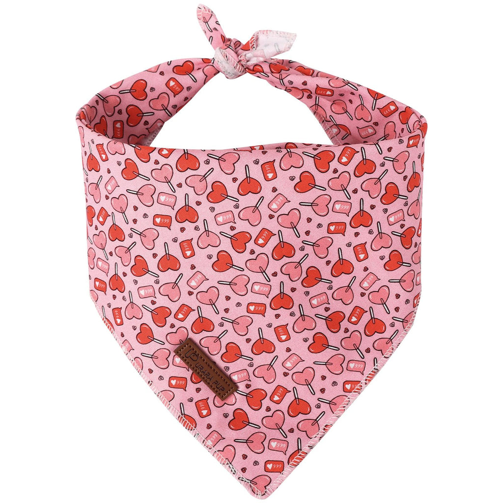 UP URARA PUP Valentine Dog Bandana - Pink Heart Triangle Bid Scarf for Small/Medium Dogs, Cats; Cotton Kerchief for Girl/Boy Pets, Red, Cute Adorable Puppy Bandana
