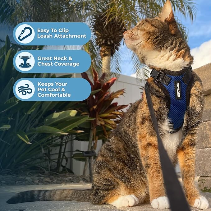 Voyager Escape-Proof Step-in Lock Cat Harness & 5ft Neoprene-Handle Leash Set All-Weather Mesh with Reflective Stitching for Small to Large Cats by Best Pet Supplies, Royal Blue/Black Trim, XXS