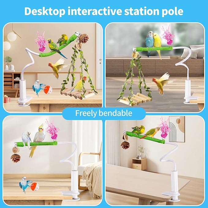 ZooVibe Bird Perch Stand with Swing, Desktop Bird Toy & Stand for Interacting, Interactive Playground for Sun Conure, Lovebirds, Conure, Budgie, Cockatiel - Non-Slip Adjustable Perch