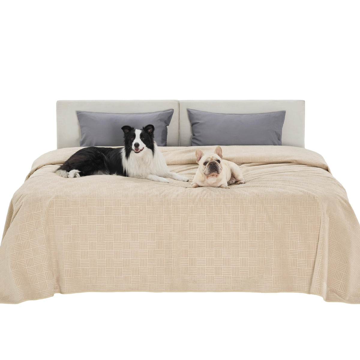 Bedsure Waterproof Couch Cover for Sofa and Dogs Quick Drying, 30x70IN