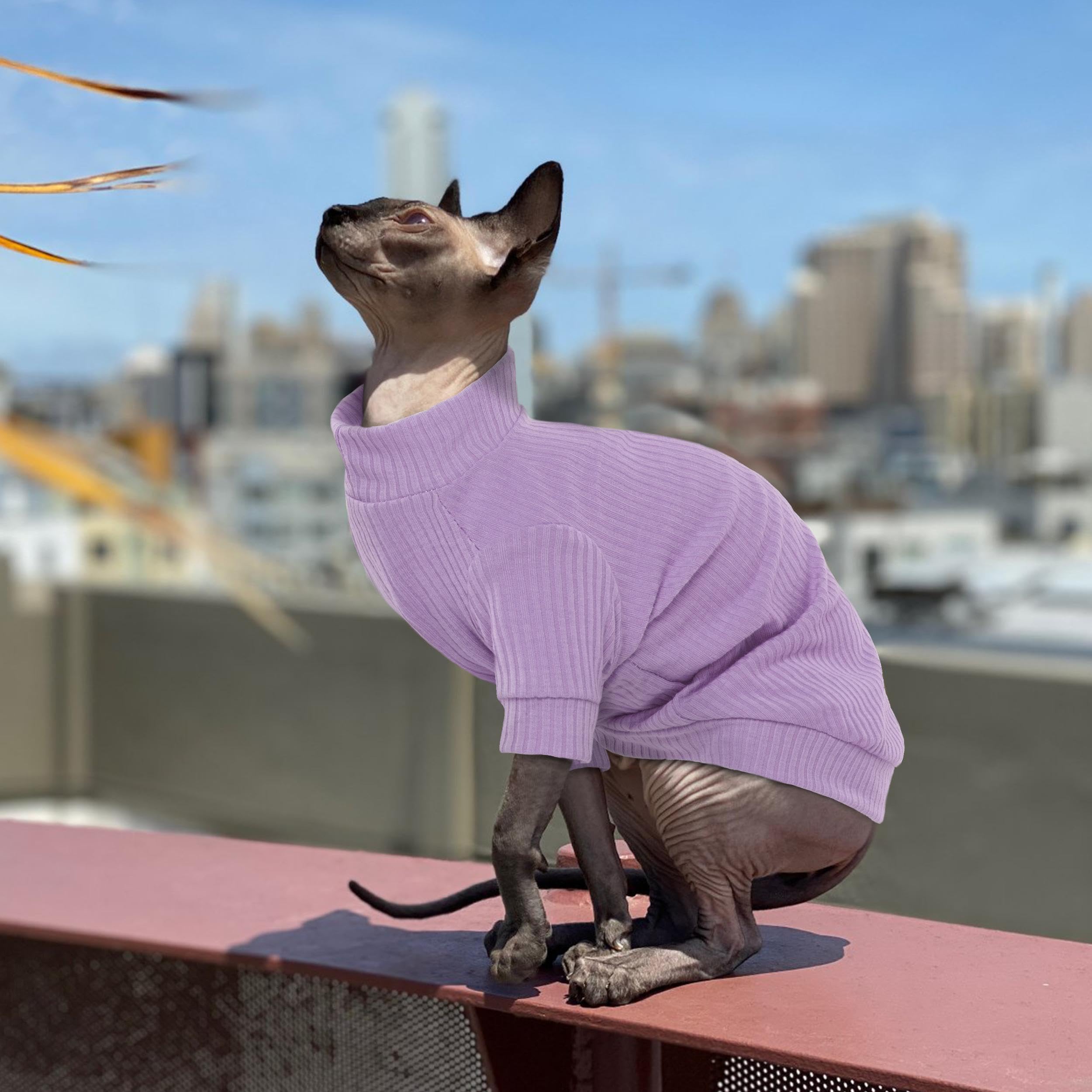 PUMYPOREITY Cat Clothes: Stretchy Cat Shirt & Sweater with Sleeves for Sphynx, Devon Rex & More - Purple