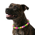 JOGIA Beaded Dog Necklace Collar, Adjustable Jewelry-Inspired Design with Sparkle Beads (Vivid Tropics, Medium)