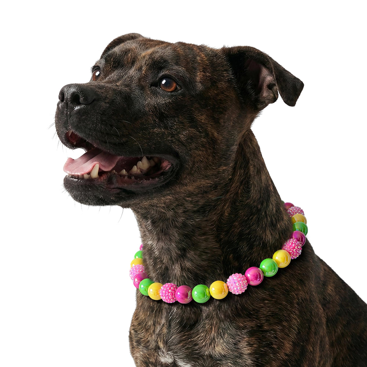 JOGIA Beaded Dog Necklace Collar, Adjustable Jewelry-Inspired Design with Sparkle Beads (Vivid Tropics, Medium)