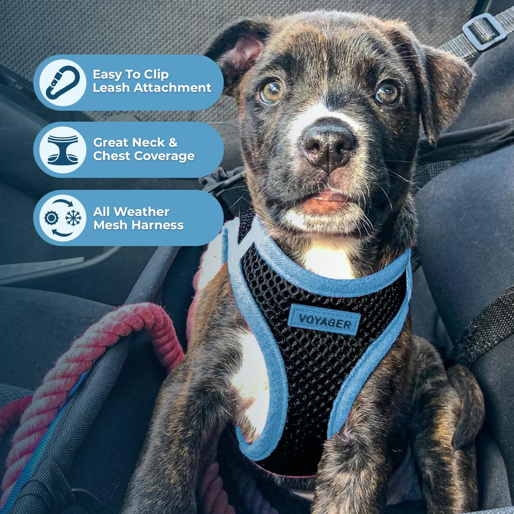 Voyager Step-in Air Dog Vest Harness - Black/Blue Trim, X-Large