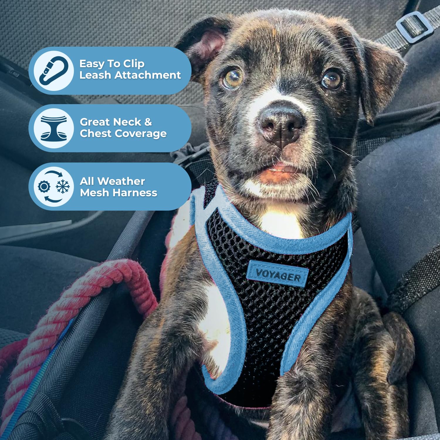 Voyager Step-in Air Dog Vest Harness - Black/Blue Trim, X-Large