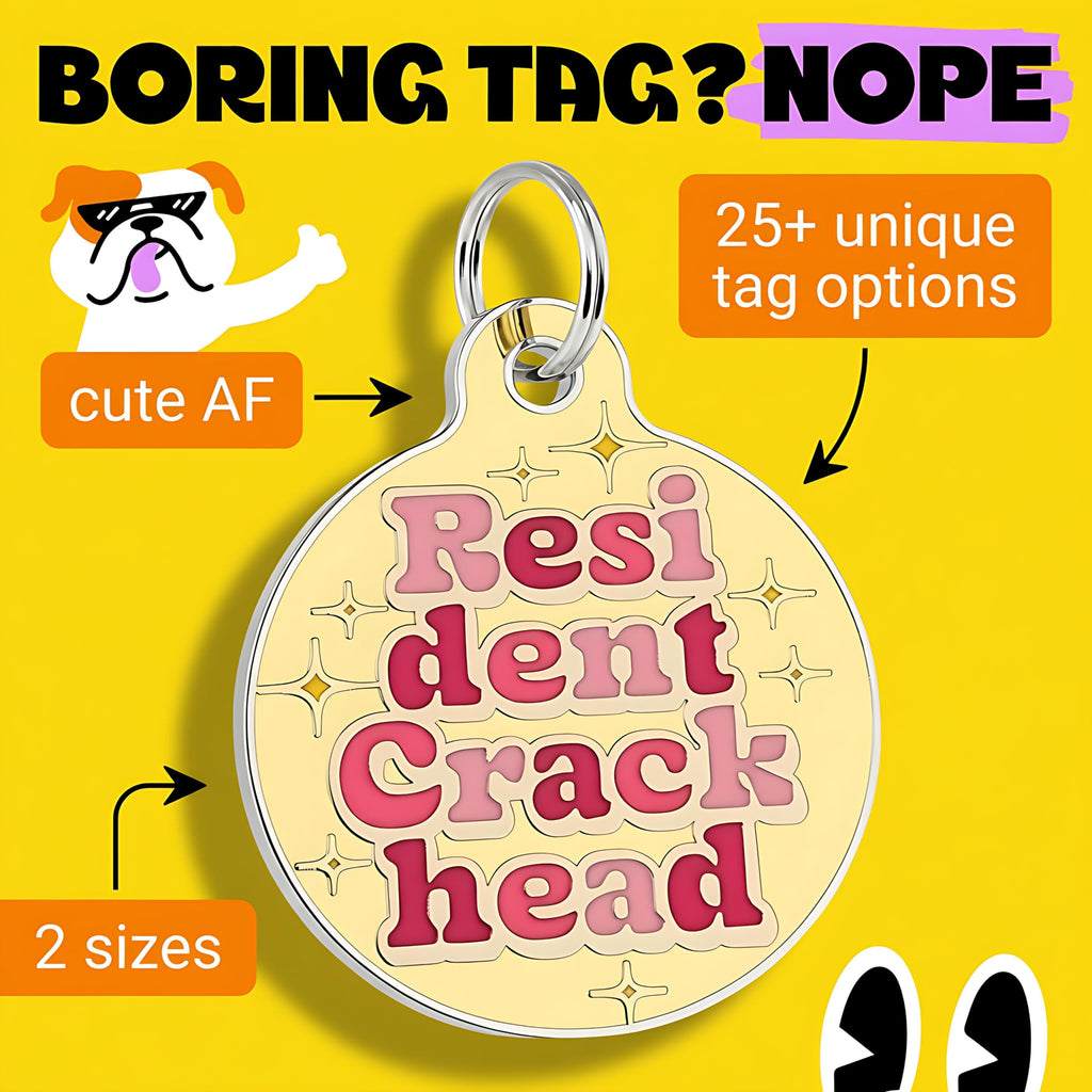 Bad Tags Personalized Dog and Cat ID Tags in 25+ Designs and 2 Sizes - 5 Lines of Custom Engraved Text - Funny Cute Personalized Pet Tags (Resident Crackhead - Yellow, Large (1.25 inch))