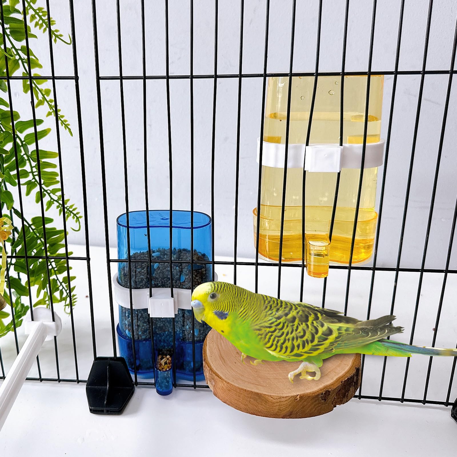 Parakeet Water Dispenser Parrot Water Feeder Bird Seed Container for Cage Cockatiel Cage Accessories Automatic Feeding for Budgies Finch Small Birds 2pcs