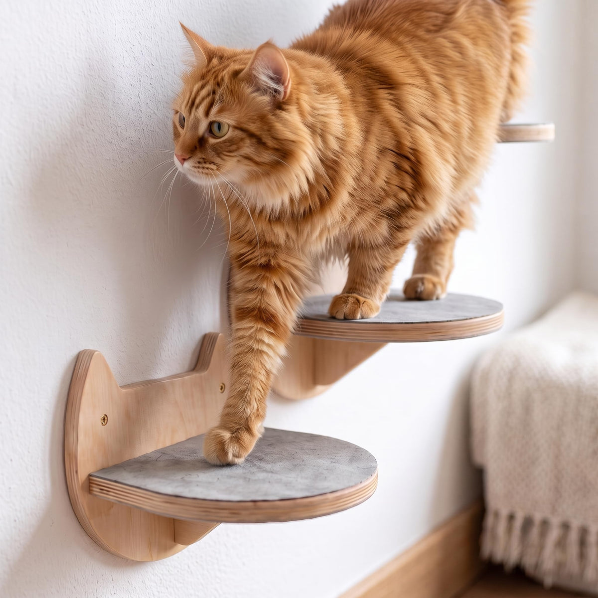 BUOGA Cat Wall Shelves, Modern Cat Wall Furniture for Indoor Cats