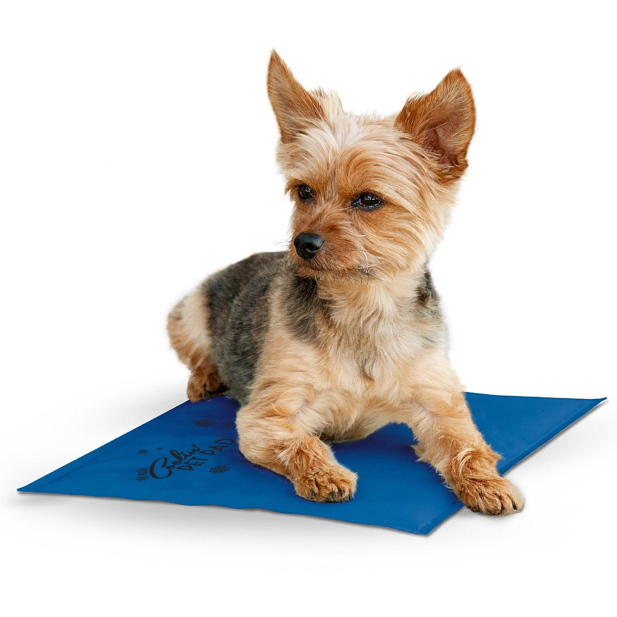 K&H Dog Cooling Mat, Coolin' Pet Pad - X-Large 38x27in Chill Blue