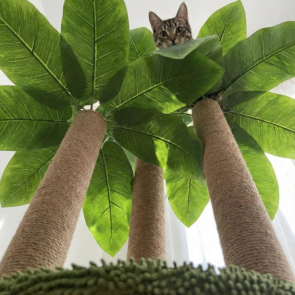 LEMONDA 31.5Inch Cat Scratching Post,Cat Scratcher Tree with 3 Scratching Poles & 2 Interactive Dangling Balls,Cats Scratching Posts for Indoor Kitten & Adult Cats