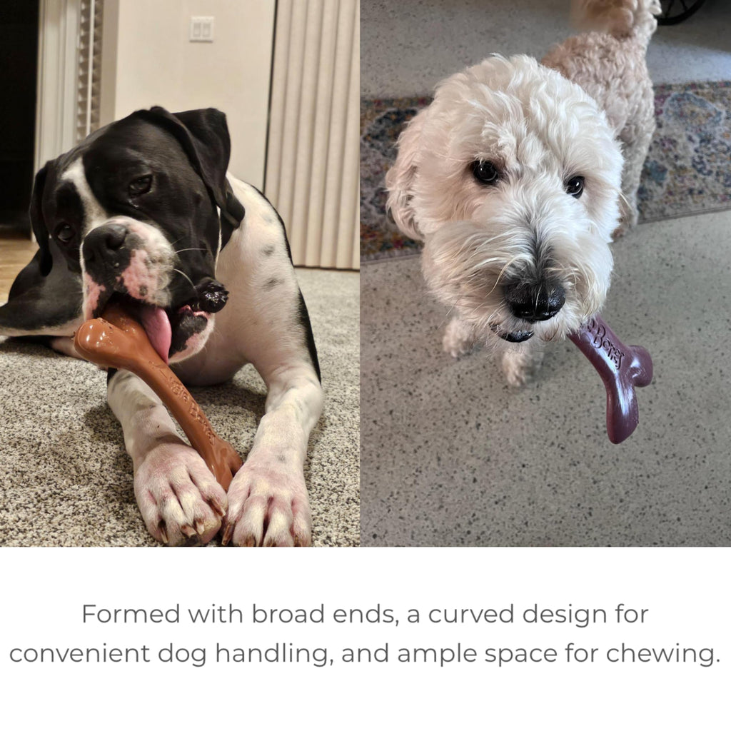 Augie Bones Non-Toxic Dog Toys - Sustainable Beef Flavored Dog Chew Toys for Aggressive Chewers - Plant-Based Bioplastic Pet Toys - Made in The USA (Mega)