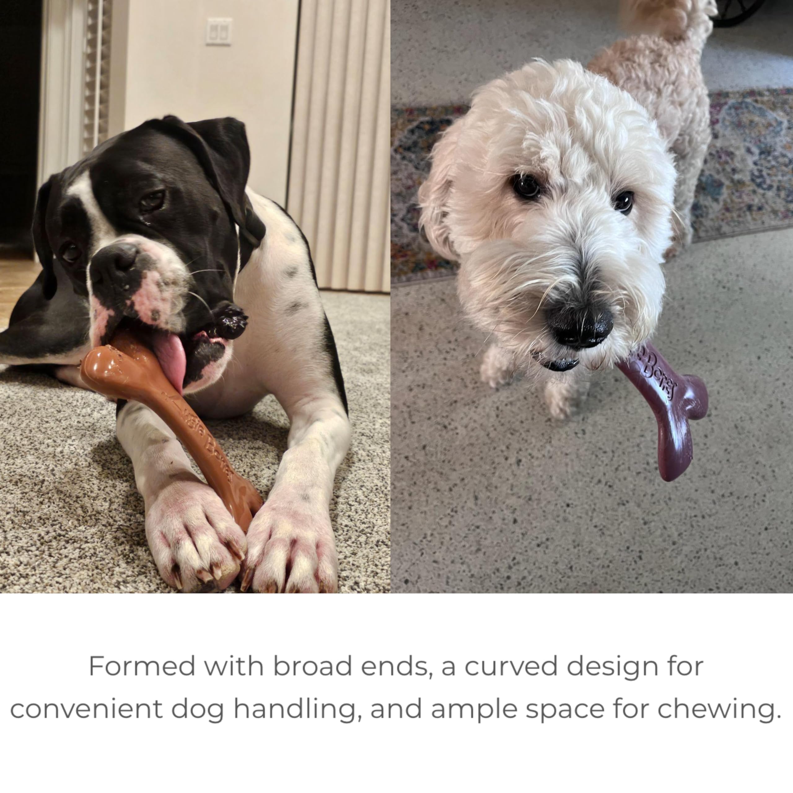 Augie Bones 2-Pack Non-Toxic Dog Toys - Sustainable Bacon Flavored Dog Chew Toys for Aggressive Chewers - Plant-Based Bioplastic Pet Toys - Made in The USA (Mighty)