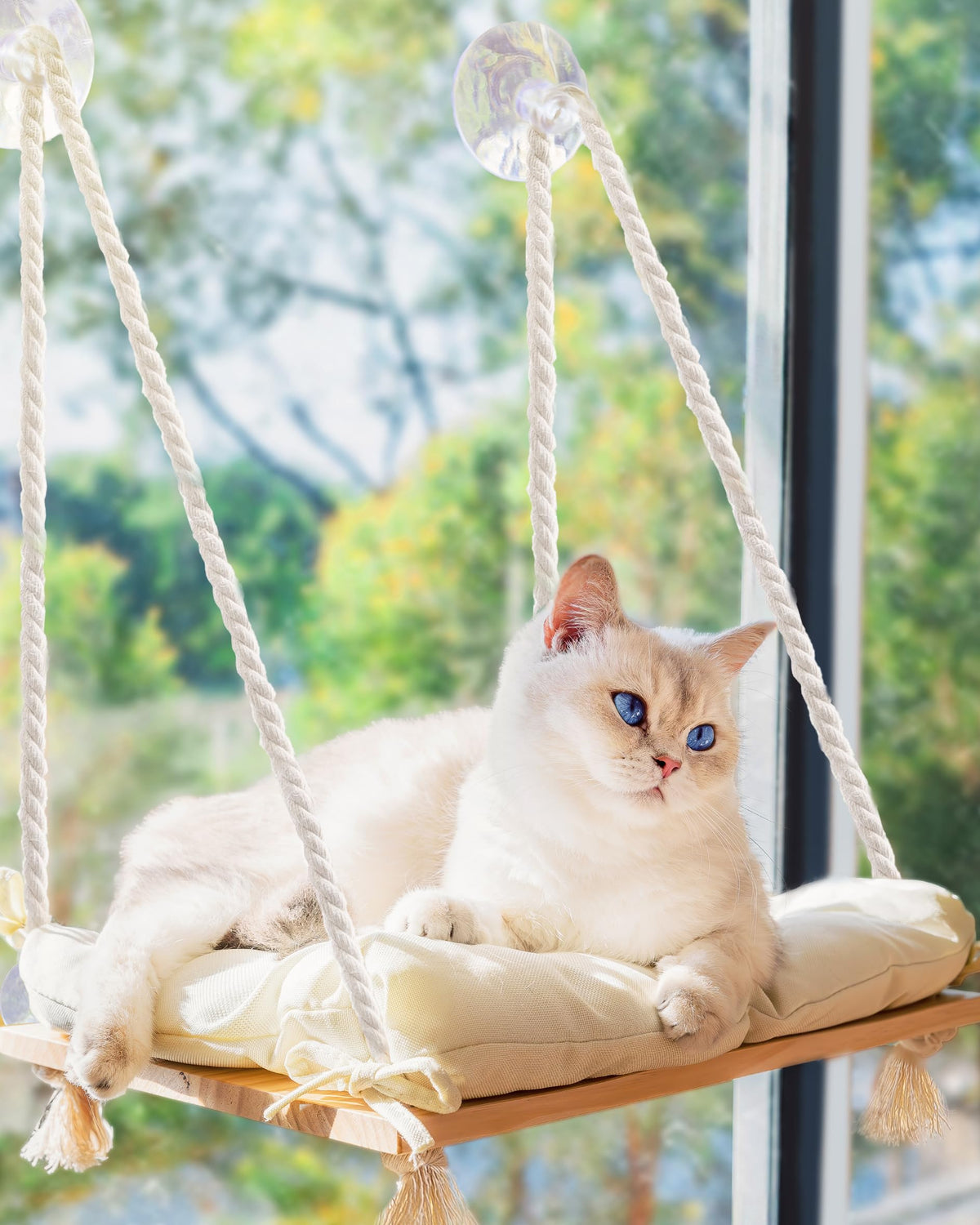 Large Cat Window Perch with Industrial-Grade Suction Cups - Solid Pine Wood Hammock Bed, Soft Cushion - 42 lb Capacity for Heavy Cats Inside