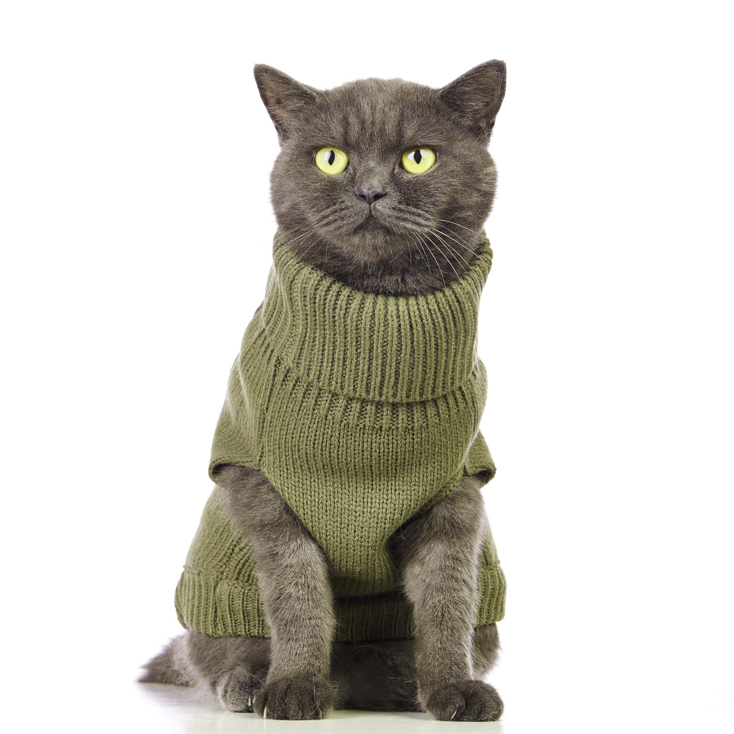 Jnancun Cat Sweater Stretchy,19 Colors,6 Sizes,Snug Winter (Olive Green, Large, Vest)