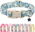 Blueberry Pattern Dog Collar, Cute Light Blue Spring Summer Puppy Collar - Soft Adjustable Designer Dog Collars for Small Medium Large Dogs S